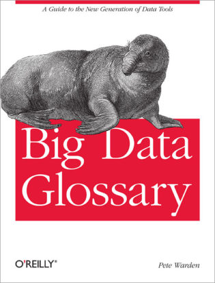 Glossaire Big Data (ed. O'Reilly)