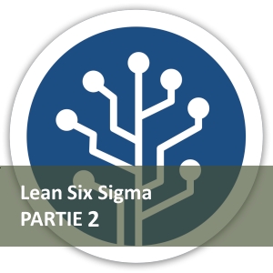 Lean Thinking et Six Sigma, les clés de votre transformation digitale ? Part2