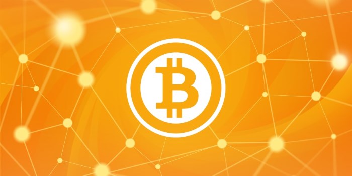 Bitcoin : invest or not invest ?